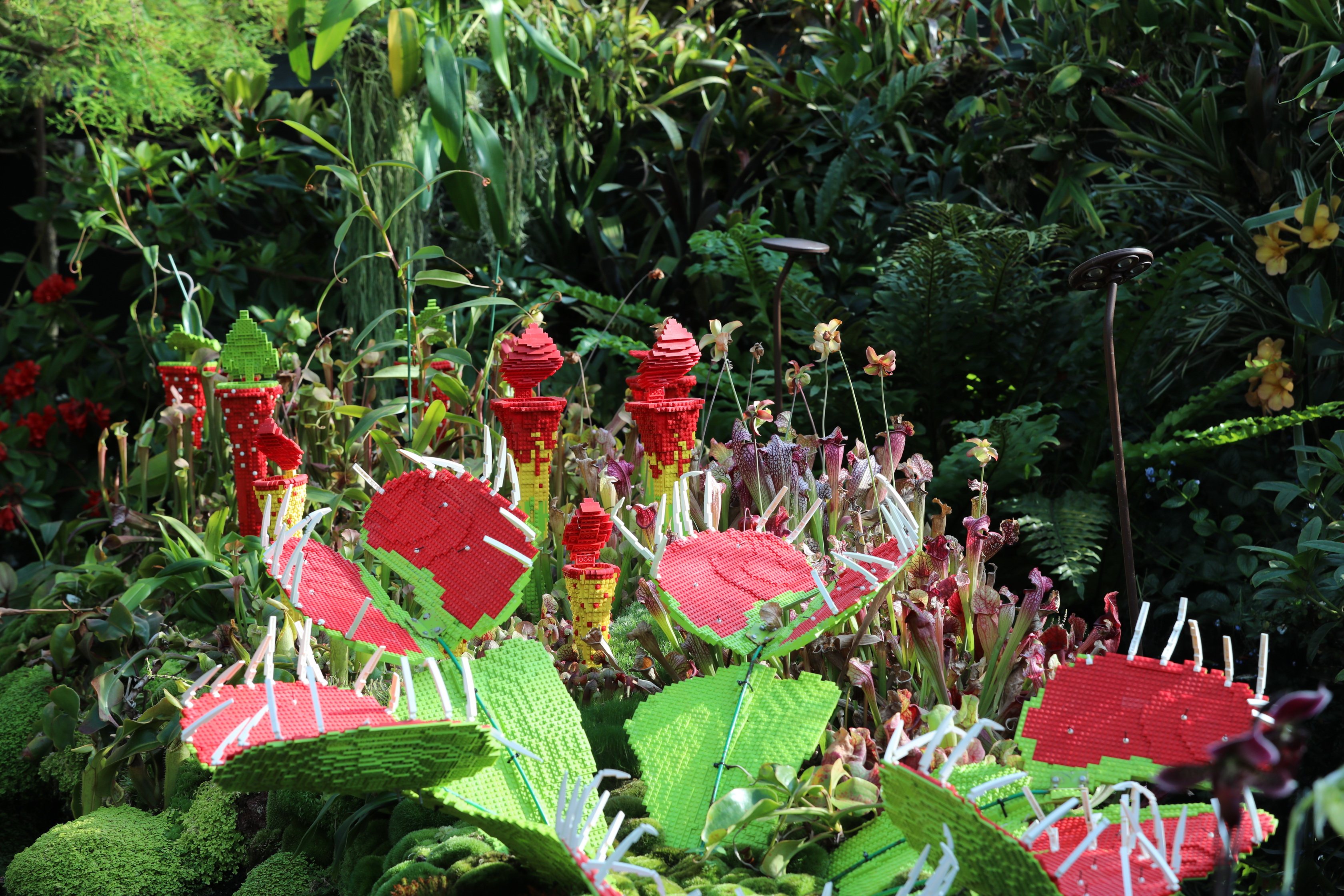 2020 02 03 17 21 11 Canon EOS 5D Mark IV 0040